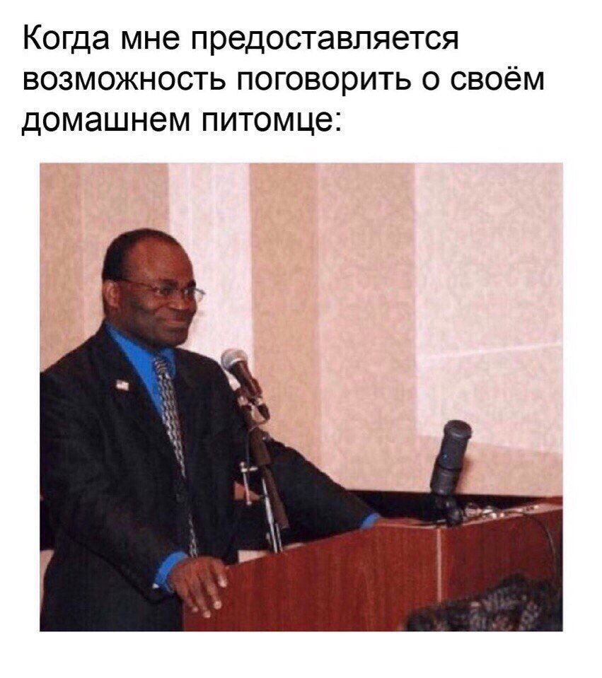 Когда мне предоставляется возможность поговорить о своём домашнем питомце: