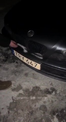 мем