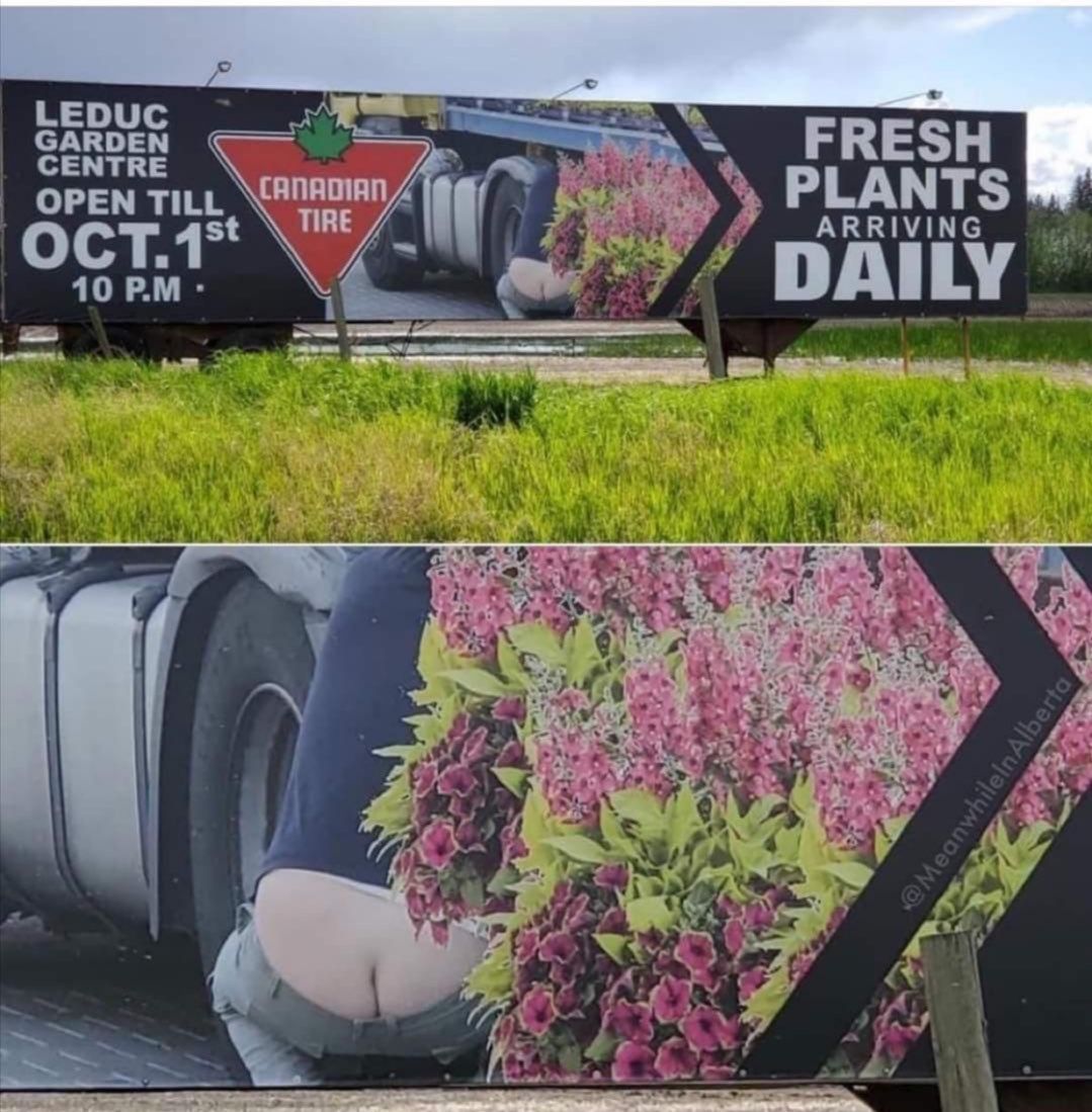 GARDEN FRESH PLANTS OPEN TILL. и ARRIVING DAILY А. a
