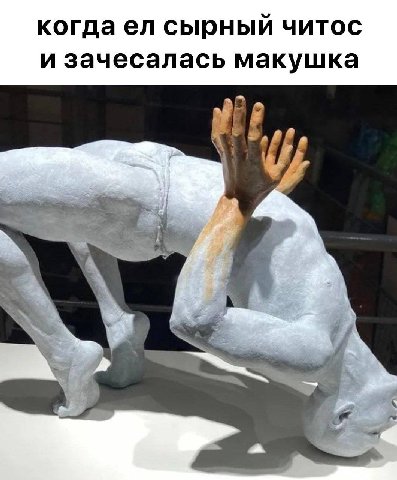когда сырный читос и зачесалась макушка
