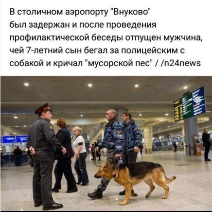 В столичном аэропорту "Внуково" был задержан и после проведения профилактической беседы отпущен мужчина, чей 7-летний сын бегал за полицейским с собакой и кричал "мусорской пес" /n24news 27 5