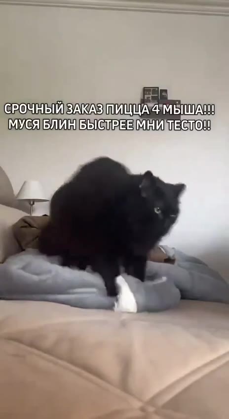 СРОЧНЫЙ И ica meee МУСЯБЛИНБЫ Е ТРЕНМНИ ТЕСТО! СРОЧНЫЙВАКАЗ] А МУСЯБЛИНБЫСТРЕЕМНИ ТЕСТО! СРОЧНЫЙ ме