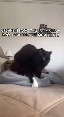 СРОЧНЫЙ И ica meee МУСЯБЛИНБЫ Е ТРЕНМНИ ТЕСТО! СРОЧНЫЙВАКАЗ] А МУСЯБЛИНБЫСТРЕЕМНИ ТЕСТО! СРОЧНЫЙ ме