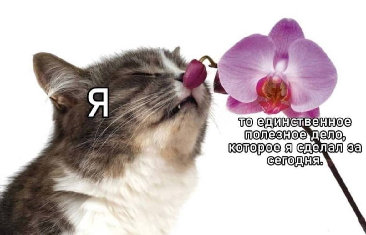 6 полезное дело сделала Я