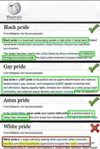 и WIKIPEDIA The Free Black pride From Wikipedia, the free encyclopedia Black pride is a movement encouraging people to take pride in being black, Related movements include black nationalism, Black Pan