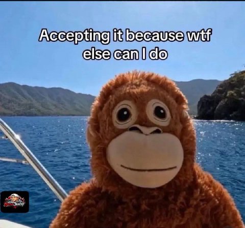 Accepting it because wtf else сап