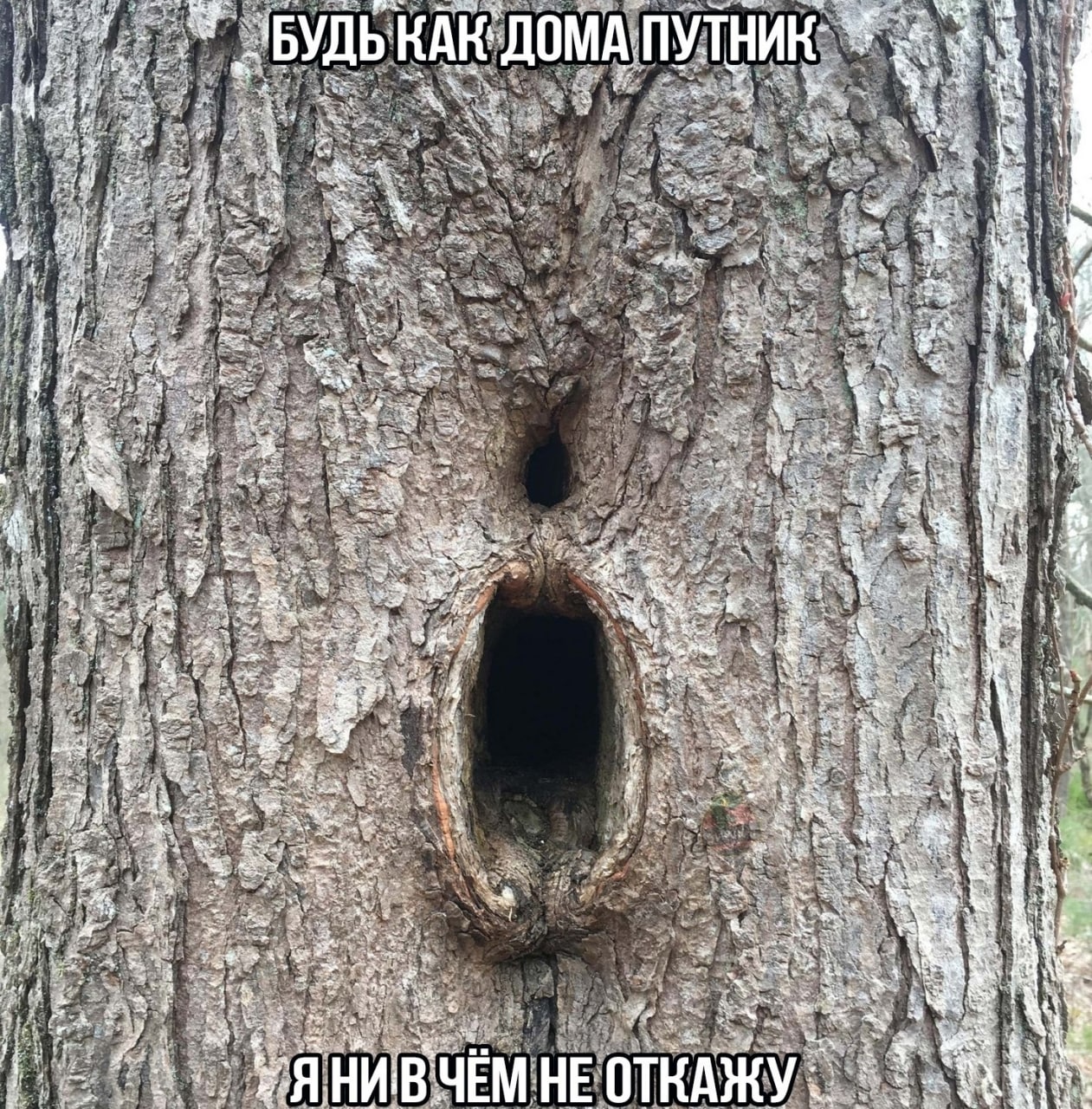 my Б ДЬКАК: УЛНИК i BE aie у 4% 'HEO