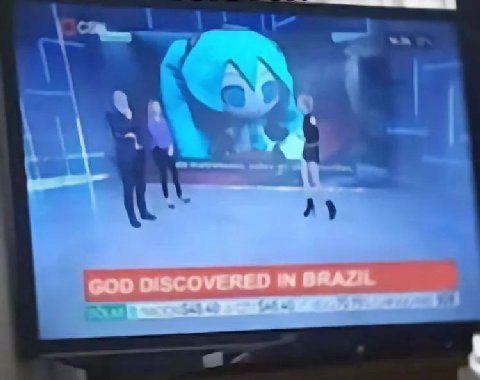 GOO BRAZIL