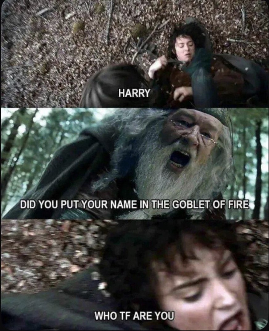 НАККУ DID YOU PUT YOUR NAME IN THE GOBLET OF FIRE® a WHO ARE YOU