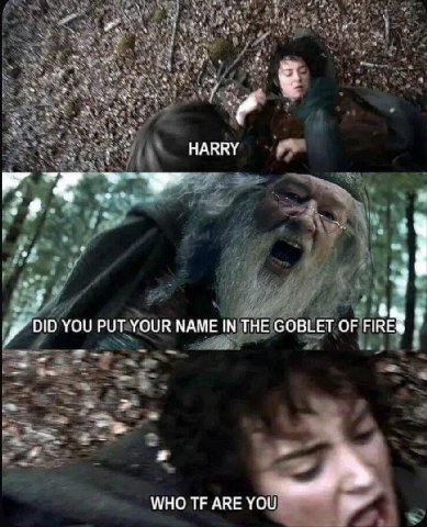 НАККУ DID YOU PUT YOUR NAME IN THE GOBLET OF FIRE® a WHO ARE YOU