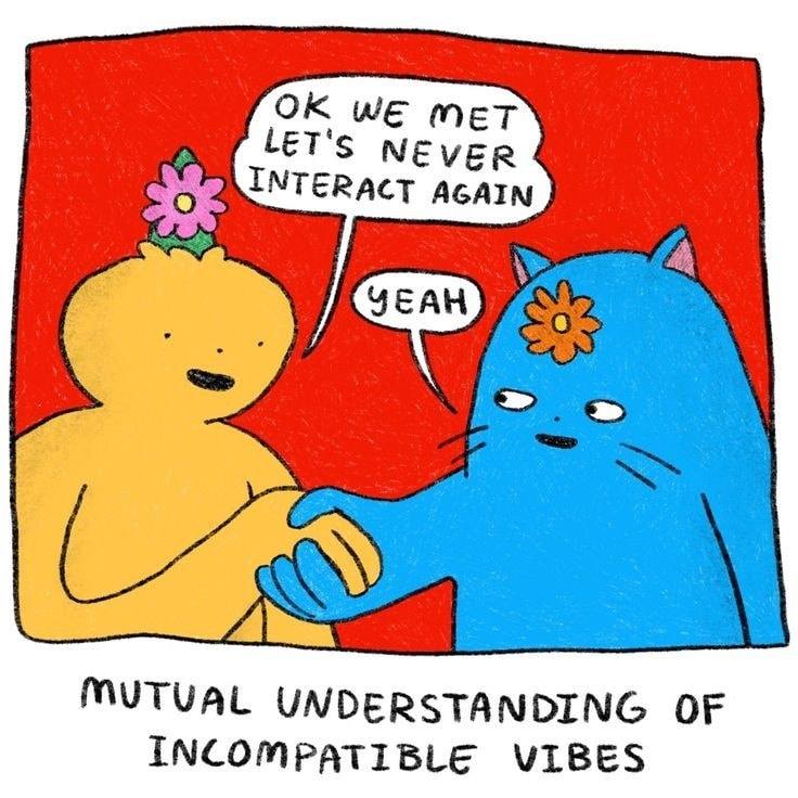 WE MET INTERACT AGAIN MUTUAL UNDERSTANDING OF INCOMPATIBLE VIBES