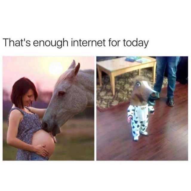 That's enough internet for today
