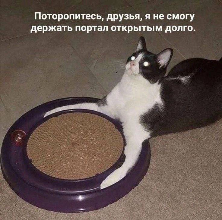 Поторопитесь, друзья, я не смогу держать портал открытым долго