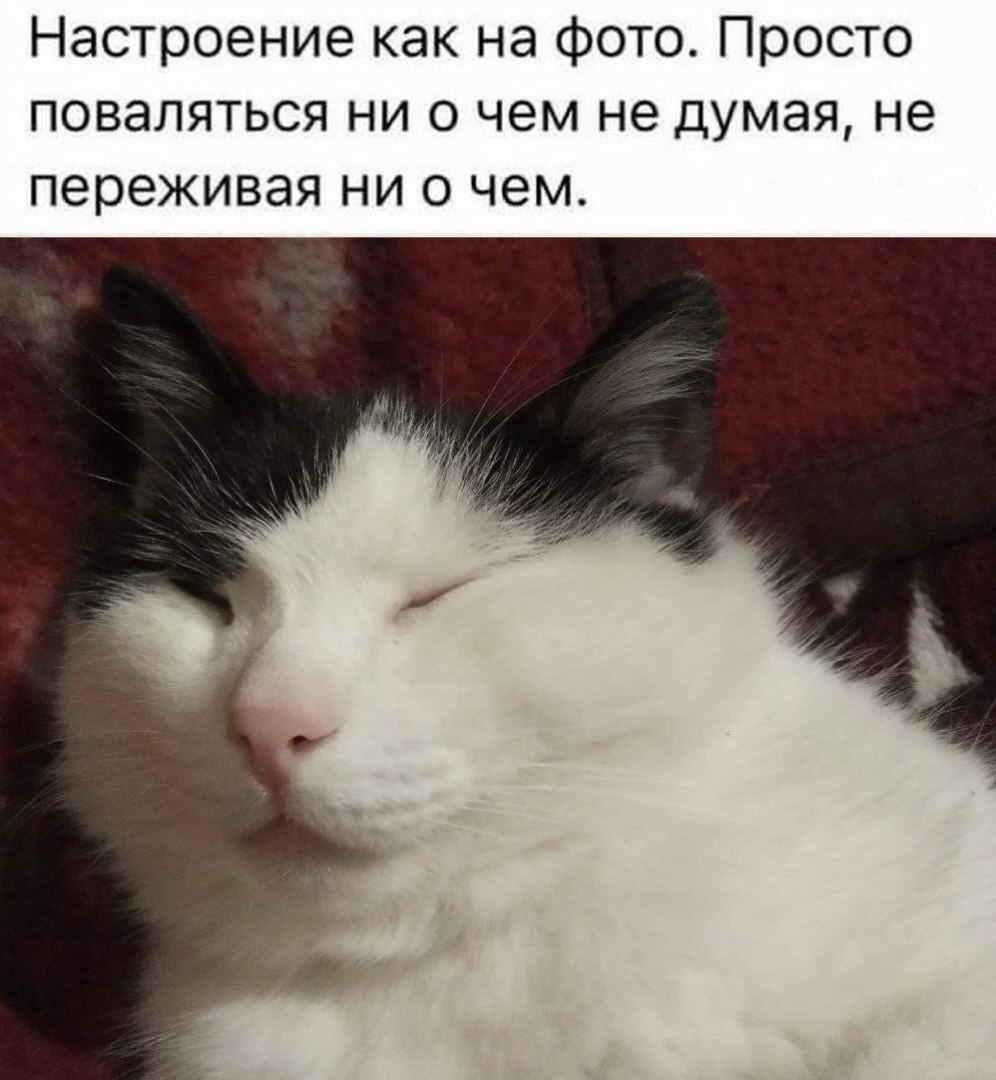 Настроение как на фото. Просто поваляться ни о чем не думая, не переживая ни о чем.