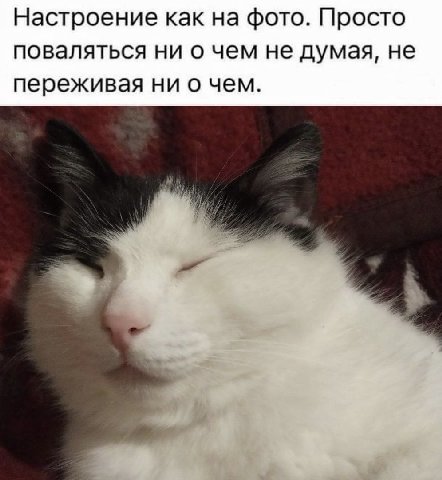 Настроение как на фото. Просто поваляться ни о чем не думая, не переживая ни о чем.