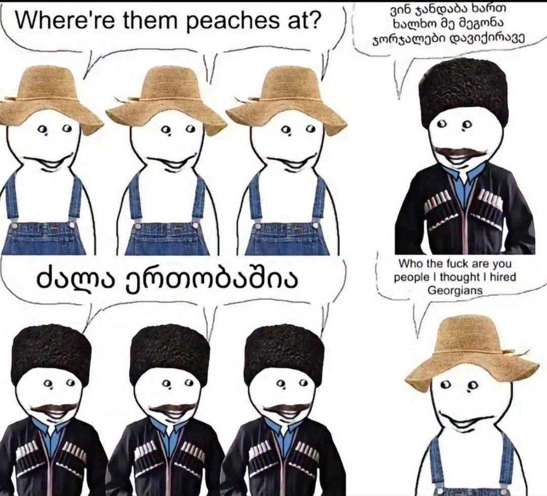 306 go6@odo 99 Where're them at? и 1 о Who the fuck are you people thought hired Georgians 7