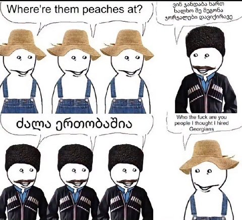 306 go6@odo 99 Where're them at? и 1 о Who the fuck are you people thought hired Georgians 7