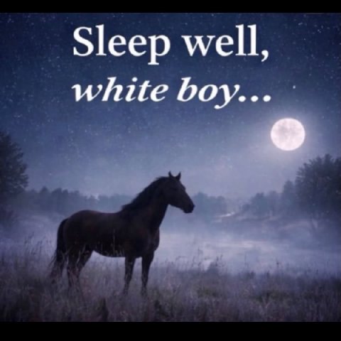 Sleep well, white boy.
