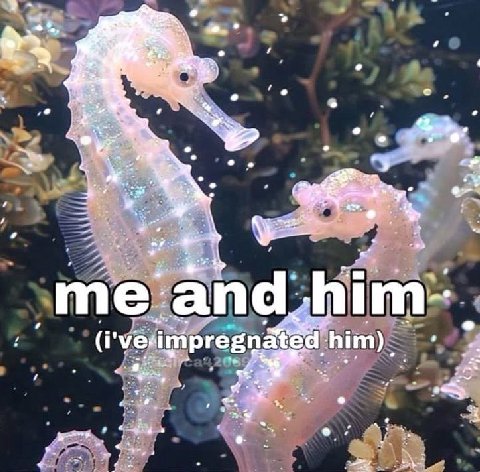 AS and (i mpr gnated