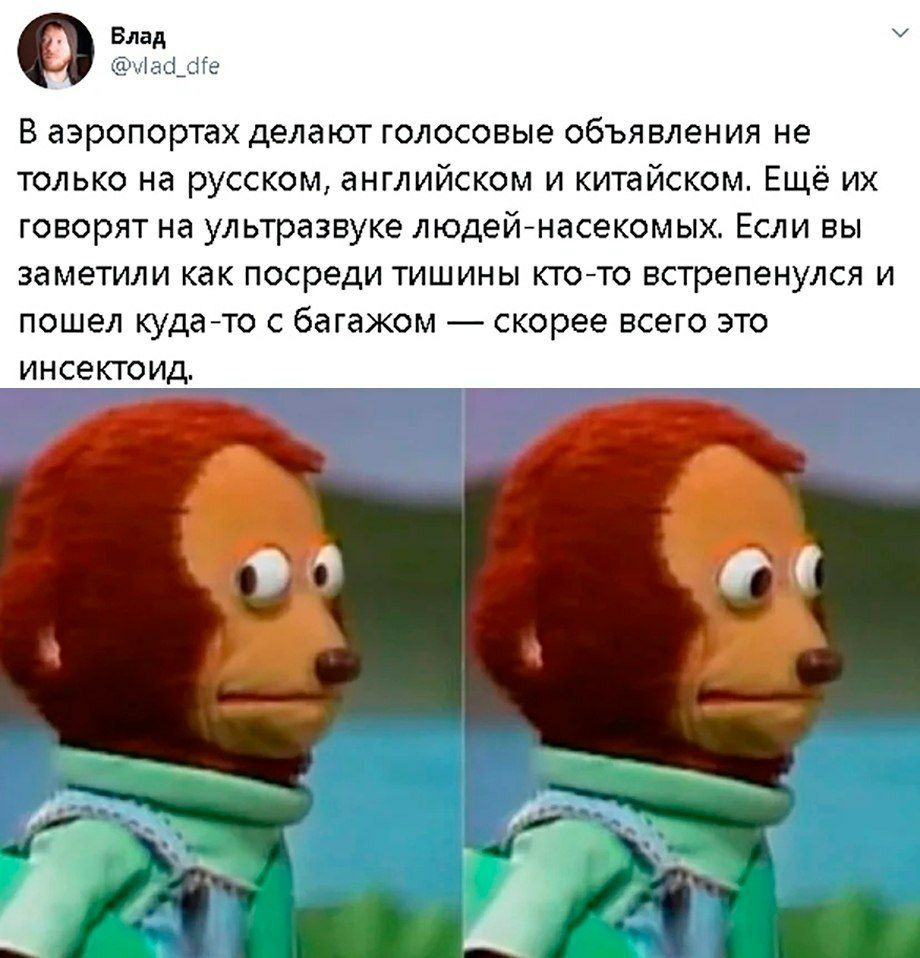 Влад У @vlad_dfe аэропортах делают голосовые объявления не только на русском, английском и китайском. Ещё говорят на ультразвуке людей-насекомых. Если вы заметили как посреди тишины кто-то встрепенулс