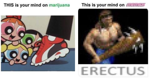 THIS is your mind on marijuana This is your mind on