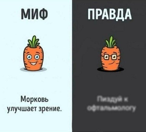 МИФ ПРАВДА Морковь улучшает зрение.