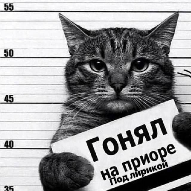 yor” да