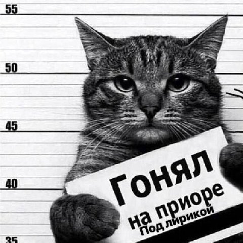 yor” да