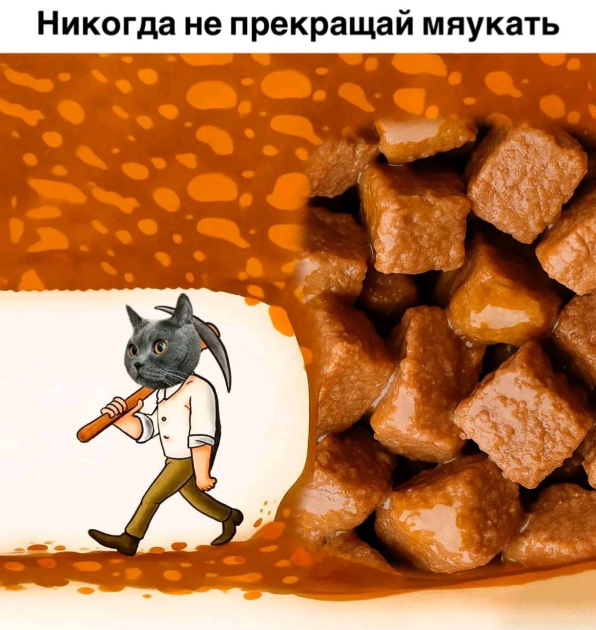 Никогда не прекращай мяукать 3 3 а