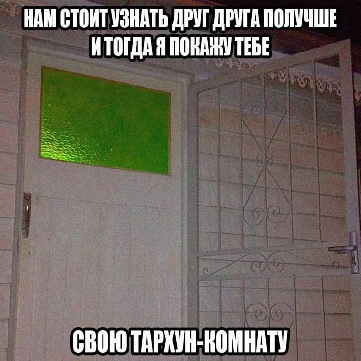 НАМ СТОИТ УЗНАТЬ ДРУГ ДРУГА ПОЛУЧШЕ ИТОГДА Я ПОКАЖУ ТЕБЕ СВОЮ ТАРХУН-КОМНАТУ