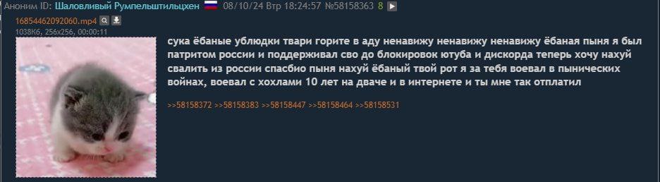 Аноним Шаловливый Румпельштильцхен 08/10/24 Втр 18:24:57 №58158363 8 00:00:11 сука ёбаные ублюдки твари горите в аду ненавижу ненавижу ненавижу ёбаная пыня я был патритом россии и поддерживал сво до б