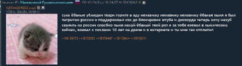 Аноним Шаловливый Румпельштильцхен 08/10/24 Втр 18:24:57 №58158363 8 00:00:11 сука ёбаные ублюдки твари горите в аду ненавижу ненавижу ненавижу ёбаная пыня я был патритом россии и поддерживал сво до б