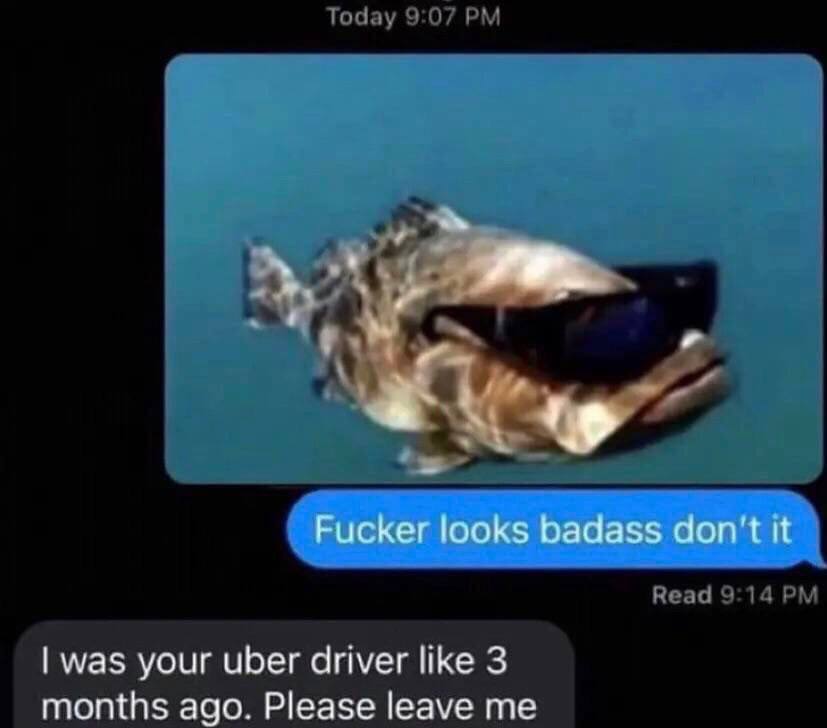Fucker looks badass don't it was your uber driver like 3 months ago. Please leave me