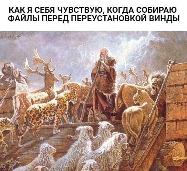 КАК Я СЕБЯ ЧУВСТВУЮ, КОГДА СОБИРАЮ ФАЙЛЫ ПЕРЕД ПЕРЕУСТАНОВКОЙ ВИНДЫ У