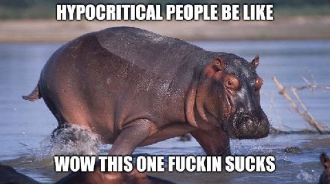 HYPOCRITICAL PEOPLE BE LIKE THIS ONE FUCKIN SUCKS