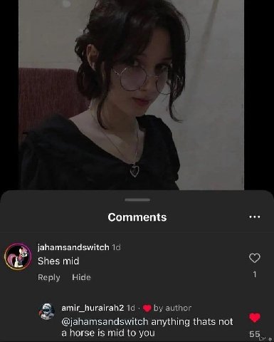 Comments jahamsandswitch Shes mid Reply Hide amir_hurairah2 author @jahamsandswitch anything thats not a horse is mid to you
