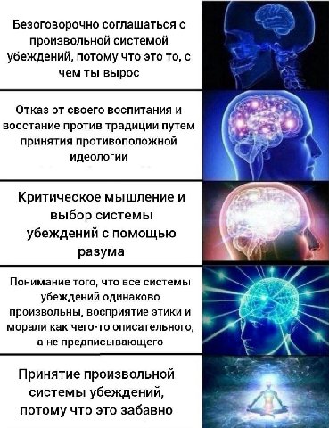 Безоговорочно соглашаться с произвольной системой убеждений, потому что это то, с чем ты вырос Отказ от своего воспитания и восстание против традиции путем принятия противоположной идеологии i Критиче