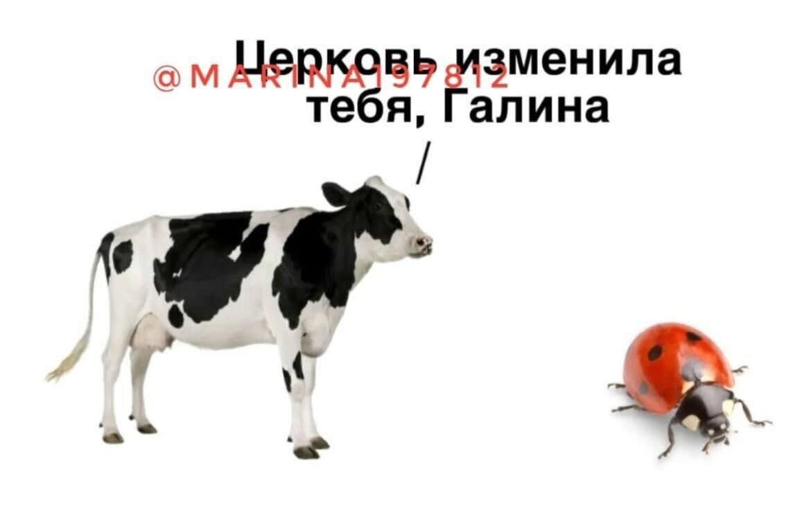 алина зменила a