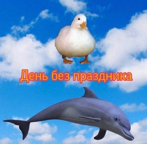 “ру | | си. oe v a ЩЕНЬ безацеаздника