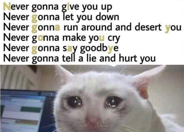 Never gonna give you up Never gonna let you down Never gonna run around and desert you Never gonna make you cry Never gonna say goodbye Never gonna tell a lie and hurt you