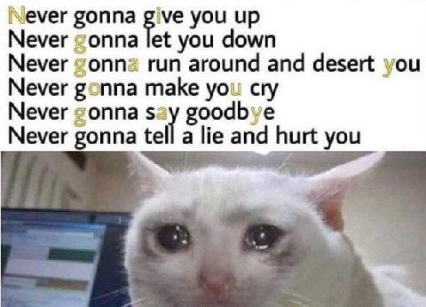 Never gonna give you up Never gonna let you down Never gonna run around and desert you Never gonna make you cry Never gonna say goodbye Never gonna tell a lie and hurt you