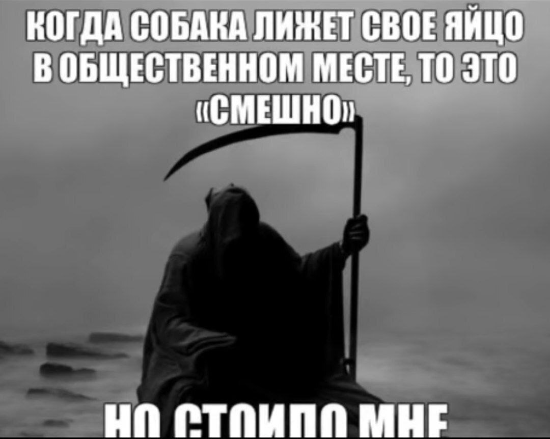 КОГДА СОБАКА ЛИЖЕТ СВОЕ ЯЙЦО В ОБЩЕСТВЕННОМ МЕСТЕ, ТО ЭТО (СМЕШНО) MHE
