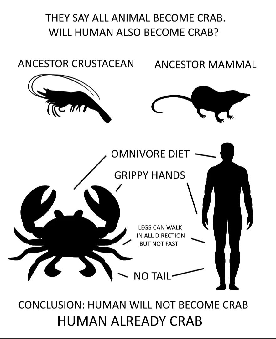 THEY SAY ALL ANIMAL BECOME CRAB. WILL HUMAN ALSO BECOME CRAB? ANCESTOR CRUSTACEAN ANCESTOR MAMMAL OMNIVORE DIET GRIPPY HANDS LEGS САМ WALK IN ALL DIRECTION NO CONCLUSION: HUMAN WILL NOT BECOME CRAB HU
