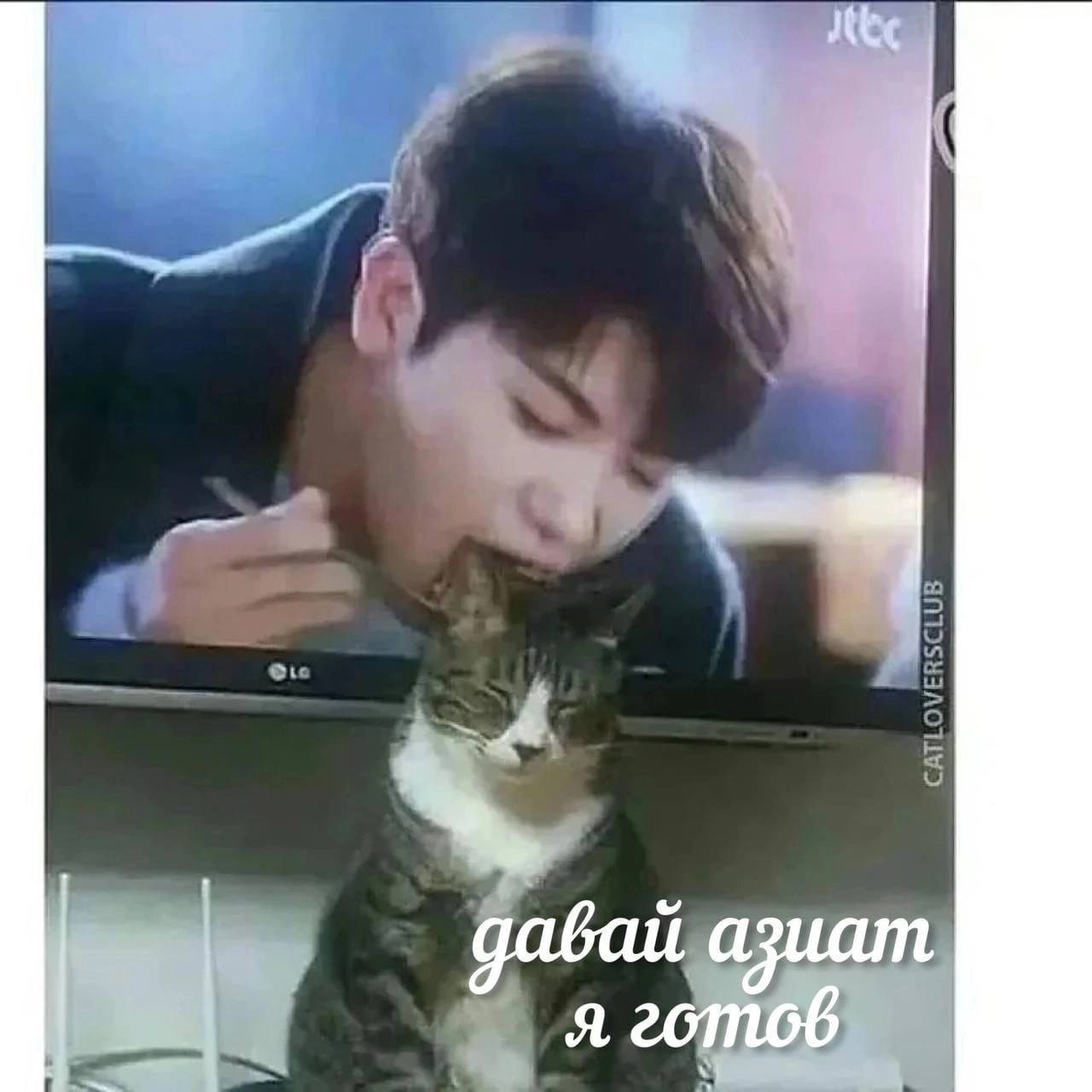 дабай азиат Я