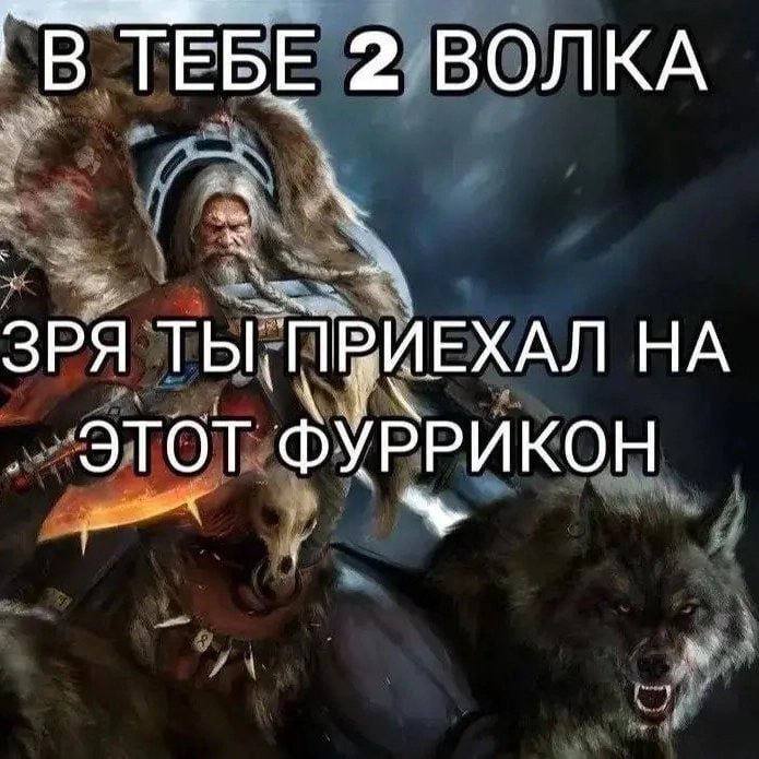 ТЕБЕ 2 ВОЛКА ЗРЯ НА ЭТОТ ФУРРИКОН