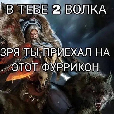 ТЕБЕ 2 ВОЛКА ЗРЯ НА ЭТОТ ФУРРИКОН