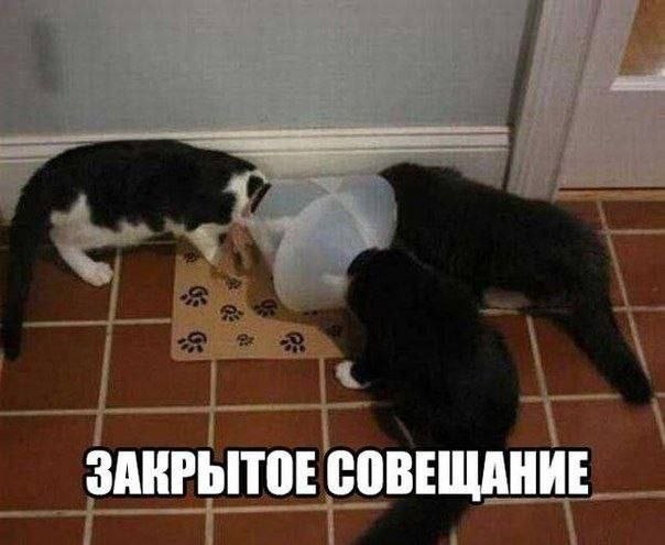 ЗАНРЫТОЕ СОВЕЩАНИЕ