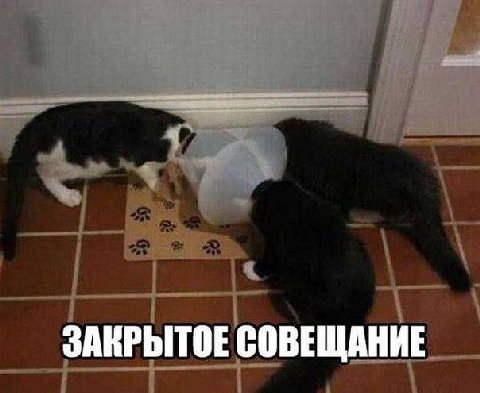 ЗАНРЫТОЕ СОВЕЩАНИЕ