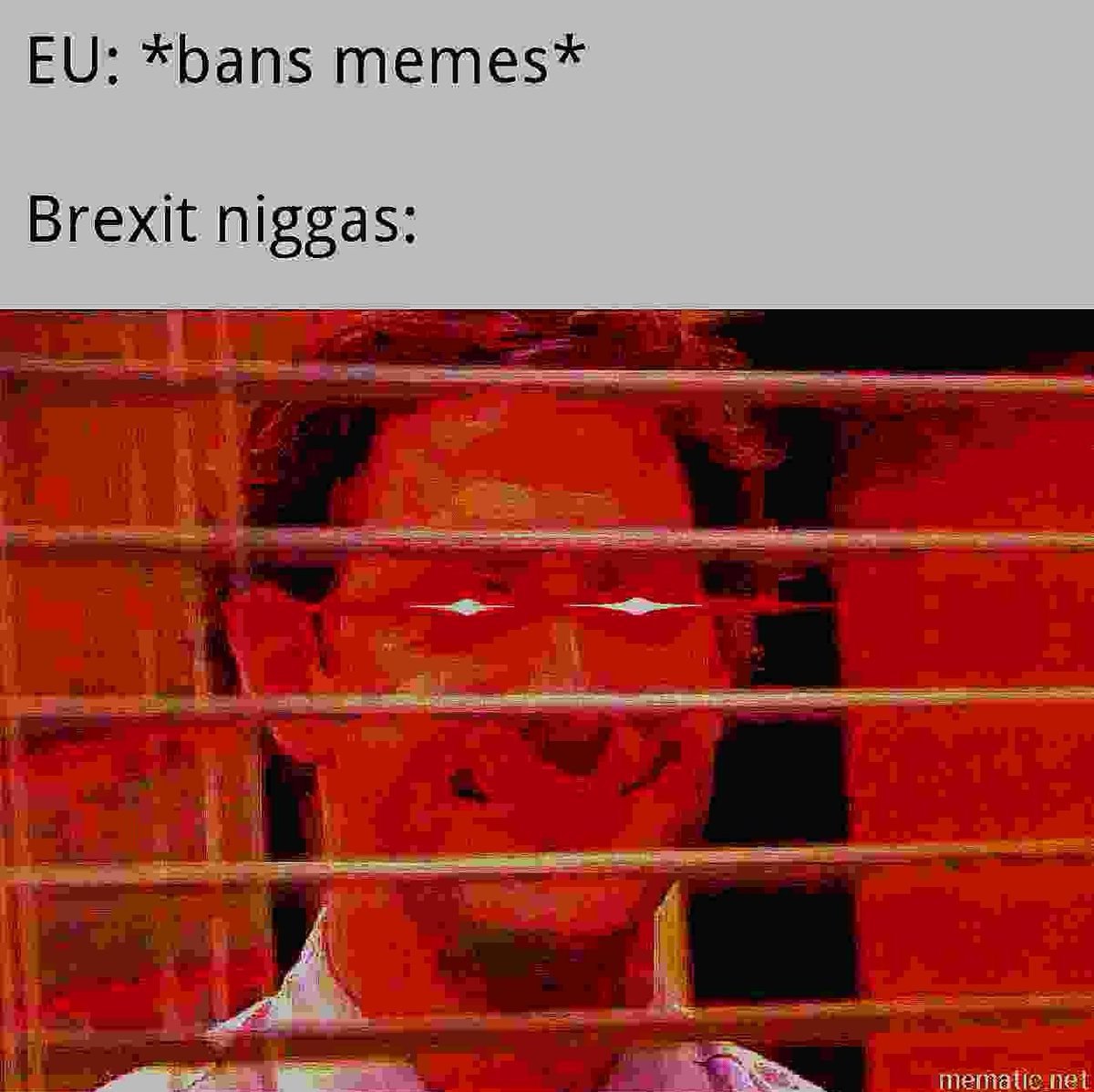 *bans memes* Brexit niggas: 4 i mematic net