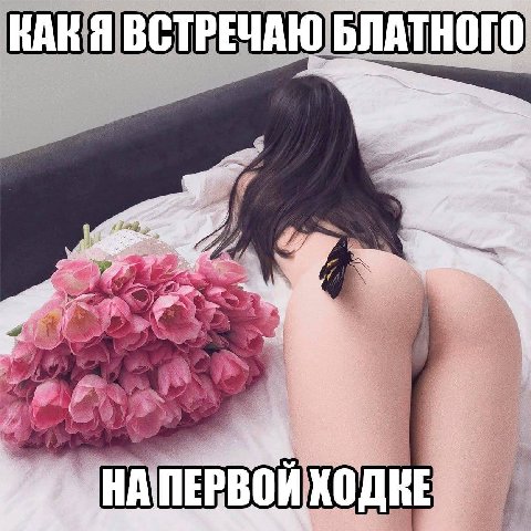 А 4 4 ПЕРВОЙ